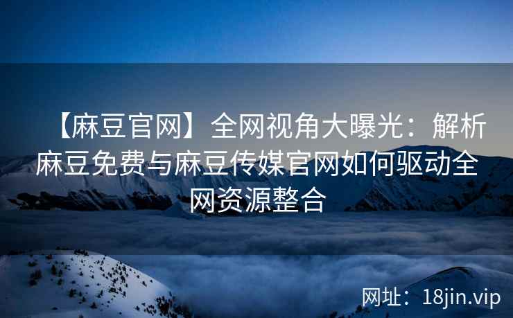 【麻豆官网】全网视角大曝光：解析麻豆免费与麻豆传媒官网如何驱动全网资源整合