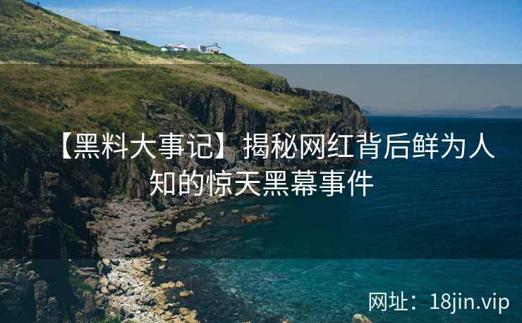 【黑料大事记】揭秘网红背后鲜为人知的惊天黑幕事件  第2张